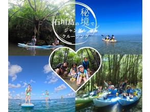 SALE! [Okinawa, Ishigaki Island] Small group tour ★ Choice of kayak/SUP ★ Special tour of silent mangroves and open blue sea ★