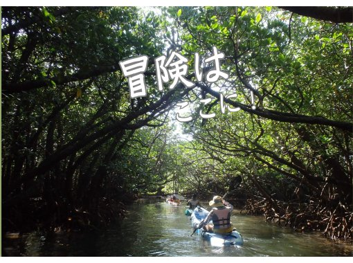 [冲绳/石垣岛] ★ 皮划艇/SUP 可供选择 ★ 享受大海和河流的贪婪之旅 ★ 秘境红树林和珊瑚礁巡游 ★の画像