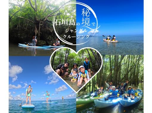 [Ishigaki Island/Mangroves & Sea] Choose between Kayaking or SUP ★ Enjoy both the quiet mangroves and the spectacular sea ★ Recommended for those who want a homely tour ★の画像
