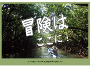 [冲绳/石垣岛]未开发地点红树林丛林探险！从大海到河流，尽享欢乐！の画像
