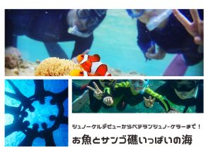 [Okinawa, Ishigaki Island] Small group beach snorkeling ★ Small children welcome ★ Snorkeling lessons held at the same time ★
