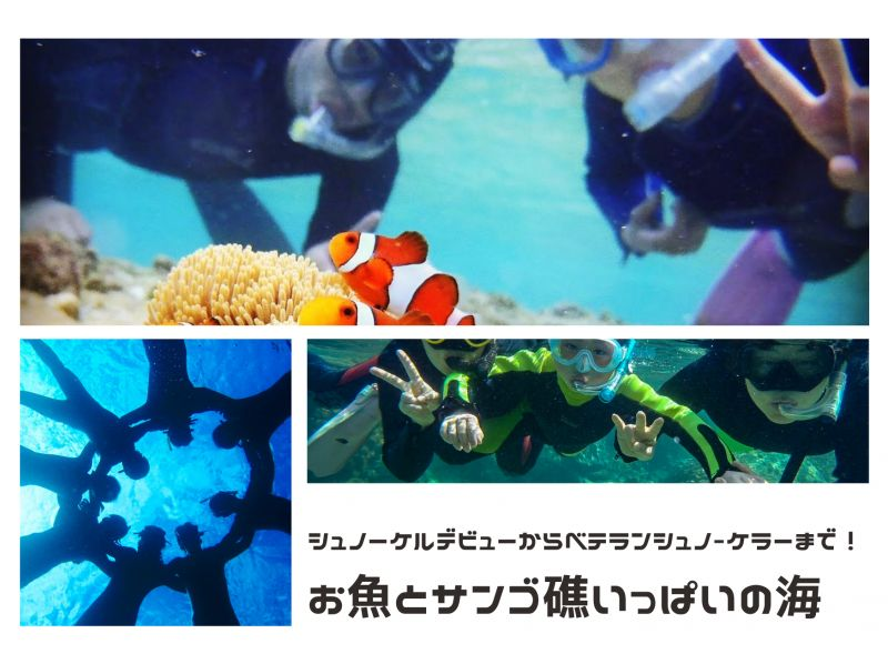 [Okinawa/Ishigaki Island] Coral fish snorkeling / Snorkeling course held at the same time