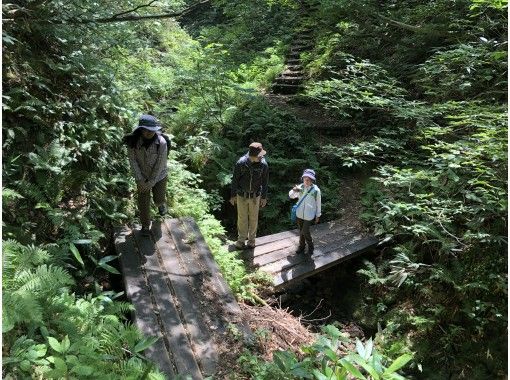 【富山・立山】初めての方も安心！トレッキング（美女平コース）の画像
