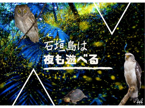 【오키나와・이시가키섬】나이트 사파리 투어★밤하늘 해설 첨부★밤의 에코 투어로 이시가키섬의 자연을 보러 가자!の画像