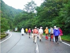 [Toyama/ Tateyama] Tateyama tour (Traveling waterfall course) head 350m! Famous waterfall, Shomyo waterfall guide walk