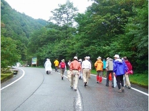 富山/立山]立山游览（旅行瀑布路线）头350m！著名的瀑布，Shomyo瀑布导 