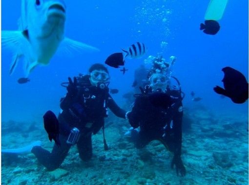 [1 group charter] photo shooting data LINE sending free! [Experience]Diving]の画像