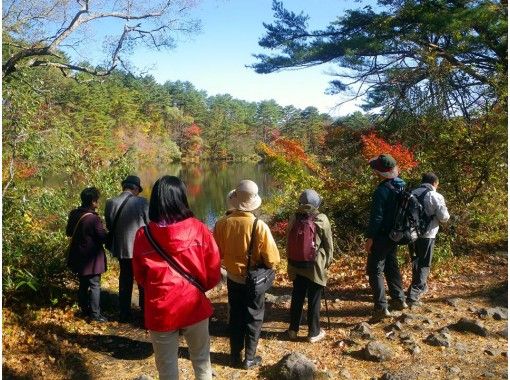 福島 裏磐梯 ガイド同行で安心 五色沼トレッキング 午前 午後 アクティビティジャパン