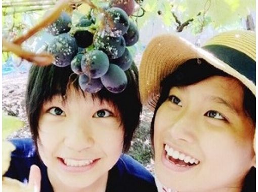 [Saga, Saga City] 45 minutes of all-you-can-eat! "Kyoho Grape Picking" available for takeawayの画像