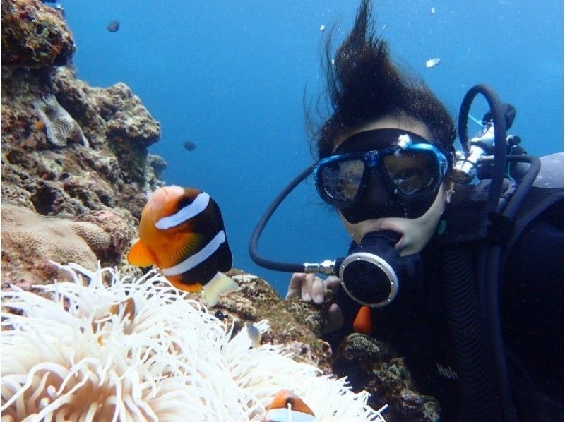 [國家旅行支持註冊商店]藍洞浮潛和乘船體驗潛水♪免費提供最新的GoPro拍攝和餵食！超級夏季特賣進行中の紹介画像