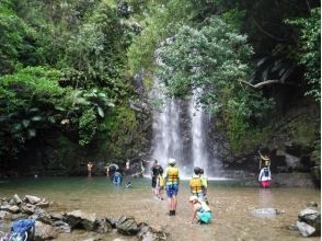 [Okinawa Prefecture Kunigami-gun Ōgimi] OK from children 4 years old! Beginners trekking tour, which dates back to the riverの画像