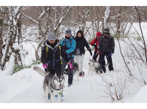 【山梨・八ヶ岳】ランチボックス付♪　愛犬と楽しむ清里スノーハイキング　※1組限定プライベートツアー！の画像
