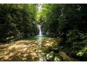 【沖縄県・国頭郡大宜味村】手付かずの滝を目指す中級トレッキングツアーの画像