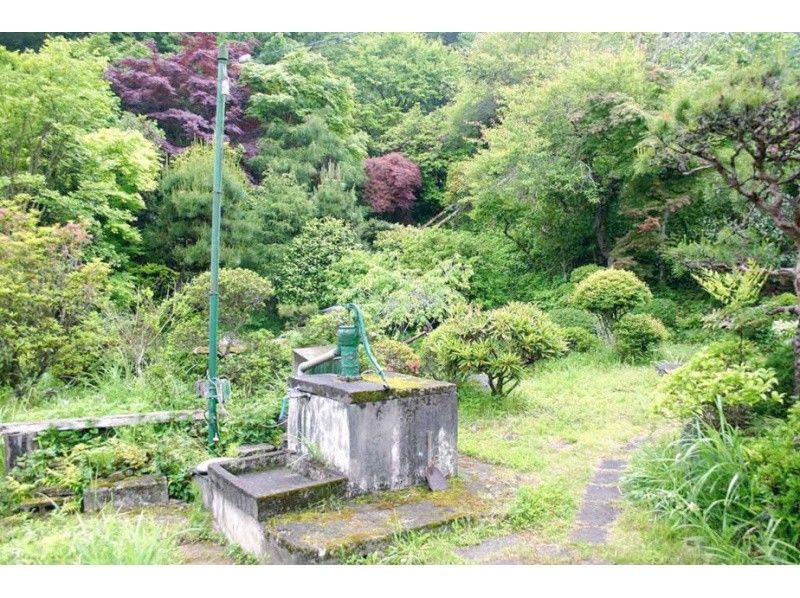 【東京・西多摩】都心から日帰り小旅行を満喫「ランチ+紙漉き+温泉」