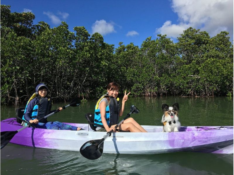 【 冲绳 · 石垣岛 】和你的狗一起！红树林独木舟（2小时）の紹介画像