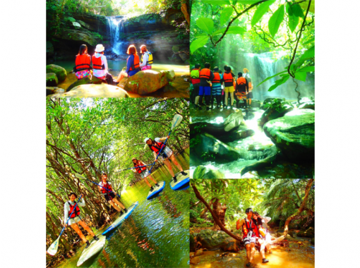 【世界遺産 西表島 半日】日本最大級仲間川マングローブSUP・カヌー秘境ジャングル探検クルーズ【ツアー写真データ無料】の画像