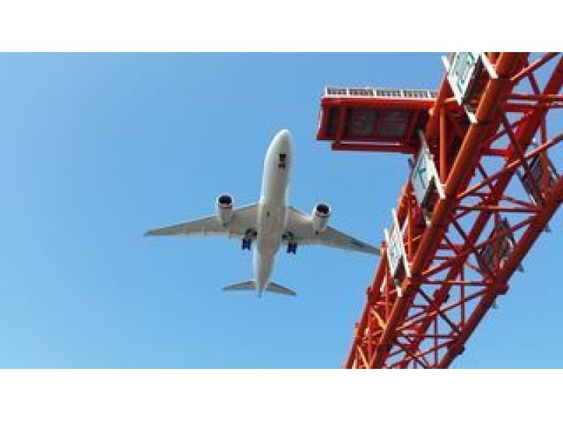 羽田空港・航空機海上観覧クルーズ&横浜中華街・北京ダック専門店で点心コース全8品!の紹介画像