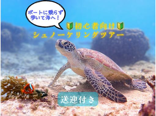  【☆送迎付き・初心者向け・3～70歳可☆】ウミガメ・クマノミがいる天然水族館ツアー（ジョン万ビーチ）プロガイドが案内するシュノーケリング☆の画像