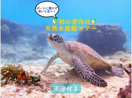  【☆送迎付き・初心者向け・3～70歳可☆】ウミガメ・クマノミがいる天然水族館ツアー（ジョン万ビーチ）プロガイドが案内するシュノーケリング☆の画像