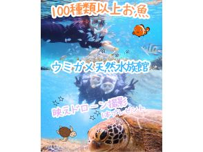  [Pick-up available, for beginners, ages 3-70] ☆Snorkeling at a natural aquarium with over 100 kinds of fish and sea turtles☆ ｌ Same-day and last-minute reservations OK ｌ Drone photography included