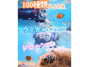  【送迎可・初心者向け・3～70歳】☆100種類以上お魚＆ウミガメがいる天然水族館ツアー☆ｌ当日・直前予約OKｌドローン無料撮影