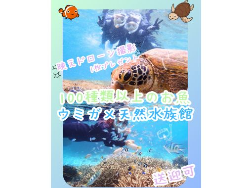  【送迎可・初心者歓迎・3～70歳】☆100種類以上のお魚＆ウミガメがいる天然水族館シュノーケリング☆ｌシャワー・着替え完備ｌ当日予約もOKの画像