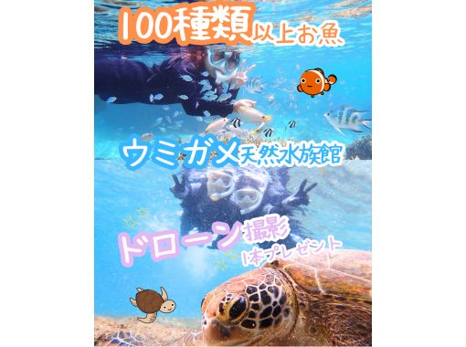  [Pick-up available, for beginners, ages 3-70] ☆Tour of a natural aquarium with over 100 kinds of fish and sea turtles☆ ｌ Same-day and last-minute reservations OKｌ Free drone photographyの画像