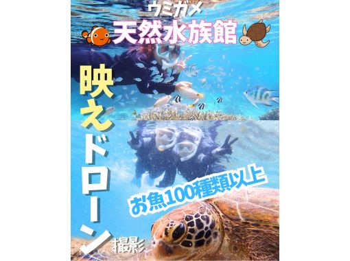  那覇から約30分ｌ当日・直前予約OKｌ【送迎可・初心者向け・3～70歳】☆100種類以上お魚＆ウミガメがいる天然水族館ツアー☆の画像