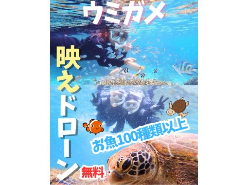  About 30 minutes from Naha. Same-day and last-minute reservations OK. [Pick-up available, for beginners, ages 3-70]. A tour of a natural aquarium with over 100 kinds of fish and sea turtles.の画像