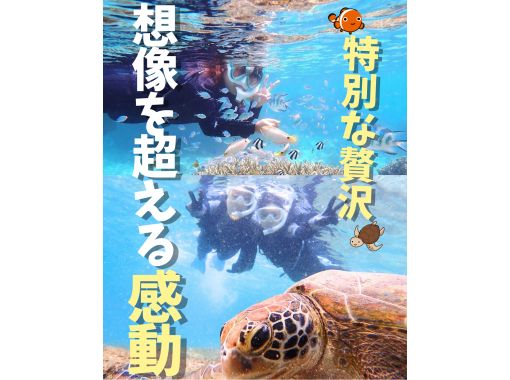  About 30 minutes from Naha. Same-day and last-minute reservations OK. [Pick-up available, for beginners, ages 3-70]. A tour of a natural aquarium with over 100 kinds of fish and sea turtles.の画像