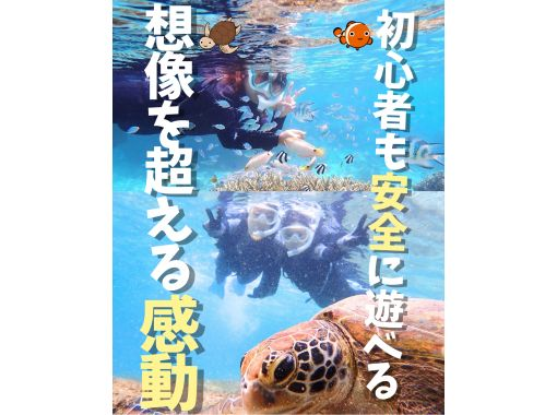 那覇から約30分【送迎可・初心者向け・3～70歳】100種類以上お魚＆ウミガメのキラキラ輝く天然水族館ツアーｌ当日予約OKｌドローン撮影無料の画像