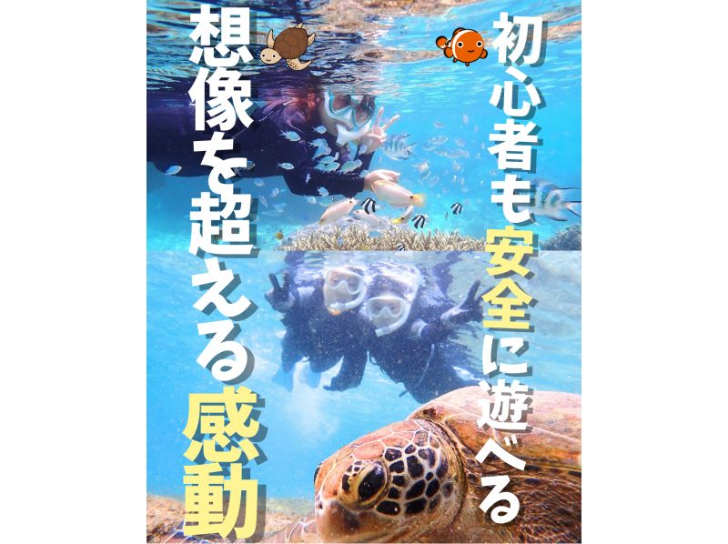 那覇から約30分【送迎可・初心者向け・3～70歳】100種類以上お魚＆ウミガメのキラキラ輝く天然水族館ツアーｌ当日予約OKｌドローン撮影無料の紹介画像