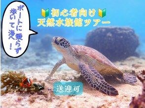  【☆送迎可・初心者向け・3～70歳可☆】ウミガメ・クマノミがいる天然水族館ツアー（ジョン万ビーチ）プロガイドが案内するシュノーケリング☆