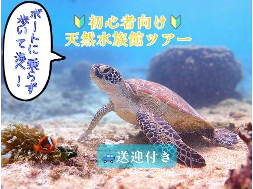  【☆送迎付き・初心者向け・3～70歳可☆】ウミガメ・クマノミがいる天然水族館ツアー（ジョン万ビーチ）プロガイドが案内するシュノーケリング☆の画像