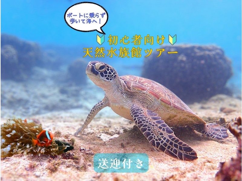  【☆送迎付き・初心者向け・3～70歳可☆】ウミガメ・クマノミがいる天然水族館ツアー（ジョン万ビーチ）プロガイドが案内するシュノーケリング☆の紹介画像