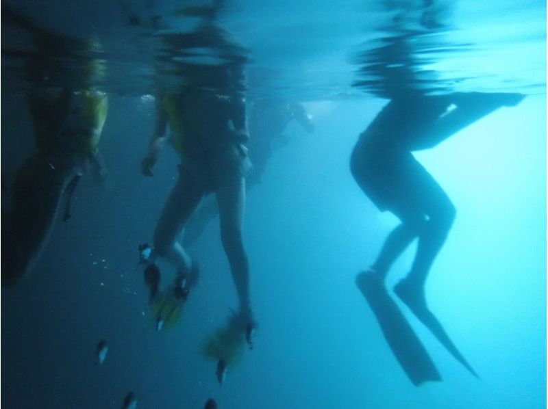 [A計劃]，照片拍攝免費服務“藍洞”！浮潛遊（含食品）の紹介画像