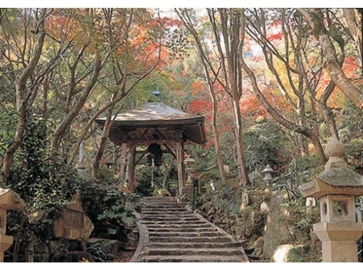 【広島・広島】落ち着いた大人の旅をしたい方におすすめ！広島市内の名所・古寺を巡る！Ｃコースの画像