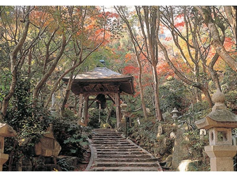 【広島・広島】広島市内の名所・古寺を巡る! Cコース