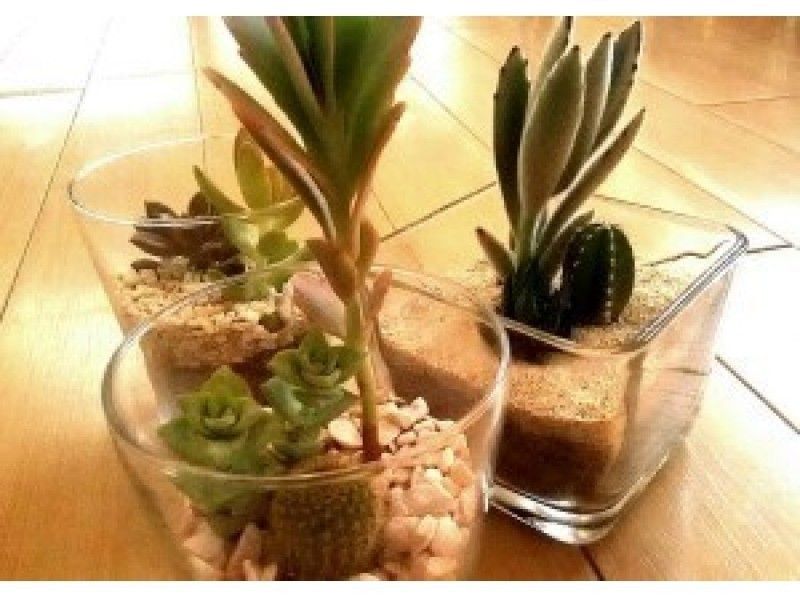 【愛知・名古屋】植物を自由にアレンジ。「グリーンカクテル」を作ろう