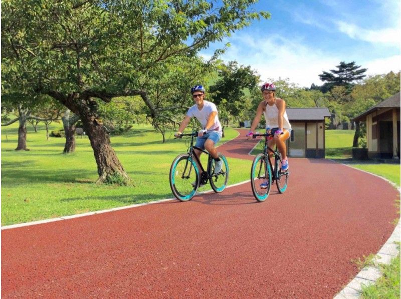 静岡 伊東 伊豆高原 絶景を楽しみ爽快に下る A1 ダウンヒルサイクリング城ヶ崎コース 半日 アクティビティジャパン