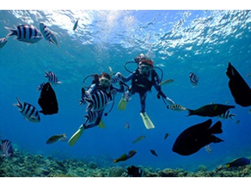 [Okinawa ・ Naha 】 Kerama (Chibishi)half-day Experience Diving& Snorkel plan underwater Photography presentの画像