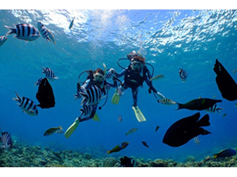 [Okinawa Naha experience diving] main island experience diving individual planの紹介画像
