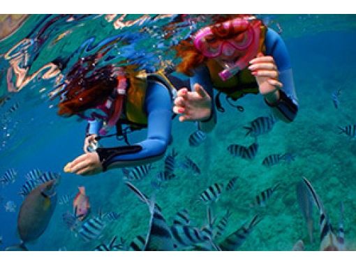 [沖繩那霸浮潛]在慶良間潛水1天計劃的嚮往の画像