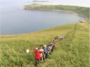 【北海道・礼文島】礼文島の魅力を満喫できるトレッキング（８時間コース）ガイド付き・送迎あり