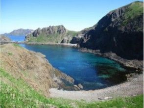 [Hokkaido, Rebun Island] Rebun three major Cape to enjoy - Cape Tour "flower guide course"-guided, by the flower guide With a shuttle busの画像