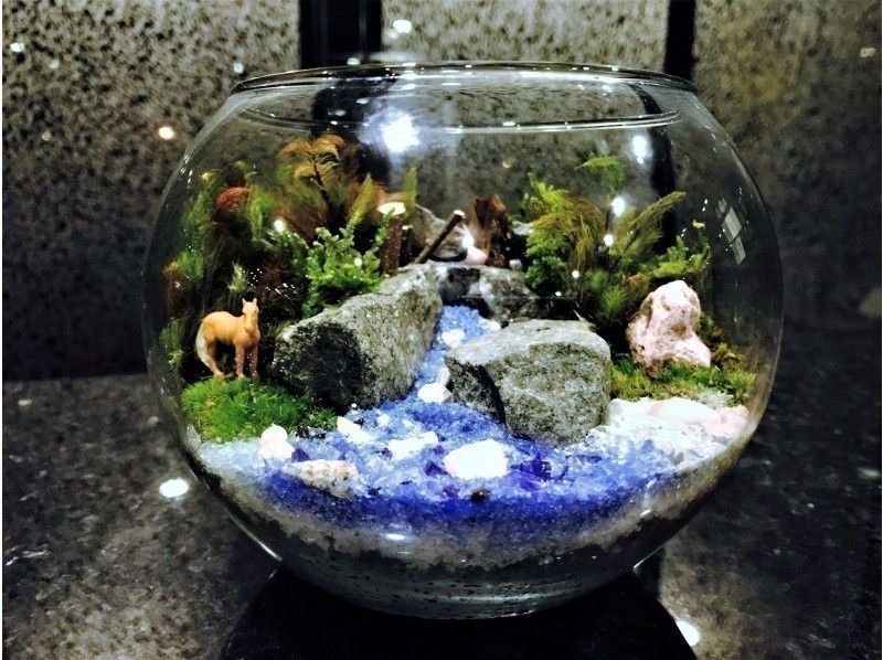 【東京・新宿】広がる自然の世界！苔テラリウム(かわいいガラスボール)創作体験♪ 