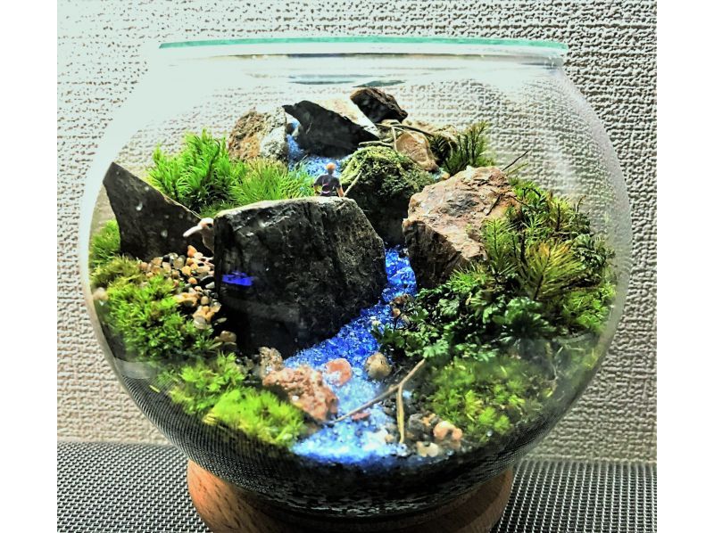 [东京/新宿]不断扩展的自然！苔藓玻璃容器（可爱的玻璃球）创作体验♪の紹介画像