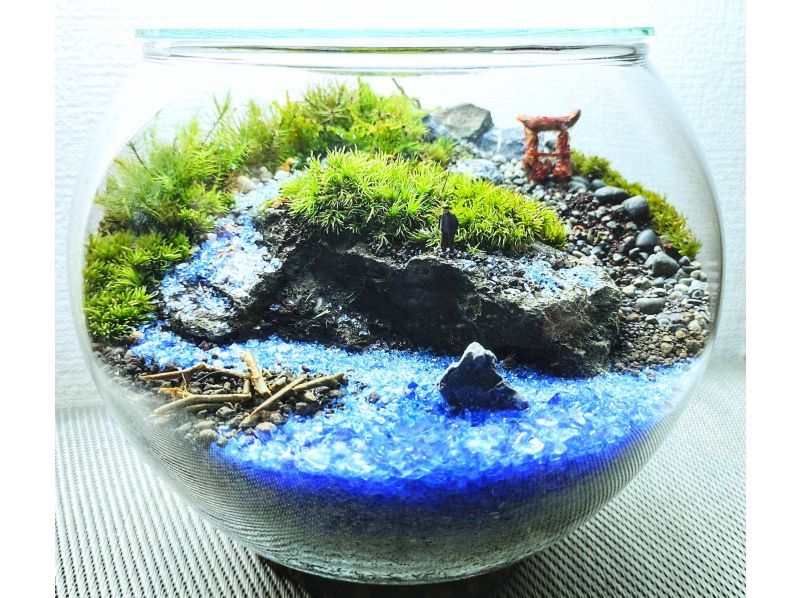 [Tokyo/ Shinjuku] Expanding nature! Moss terrarium (cute glass ball) creation experience ♪の紹介画像