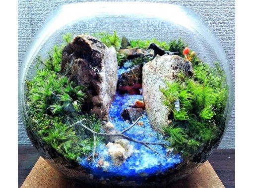 オンライン予約限定3 割引 東京 新宿御苑前駅 広がる自然の世界 苔テラリウム かわいいガラスボール 創作体験 のクーポン チケット料金情報 Hisクーポン