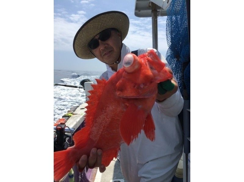 [Shizuoka/ Oigawa Port] Deep-sea fishing off Omaezaki! Let's catch the goldfish and redfish! Beginners and Female are welcome!の紹介画像